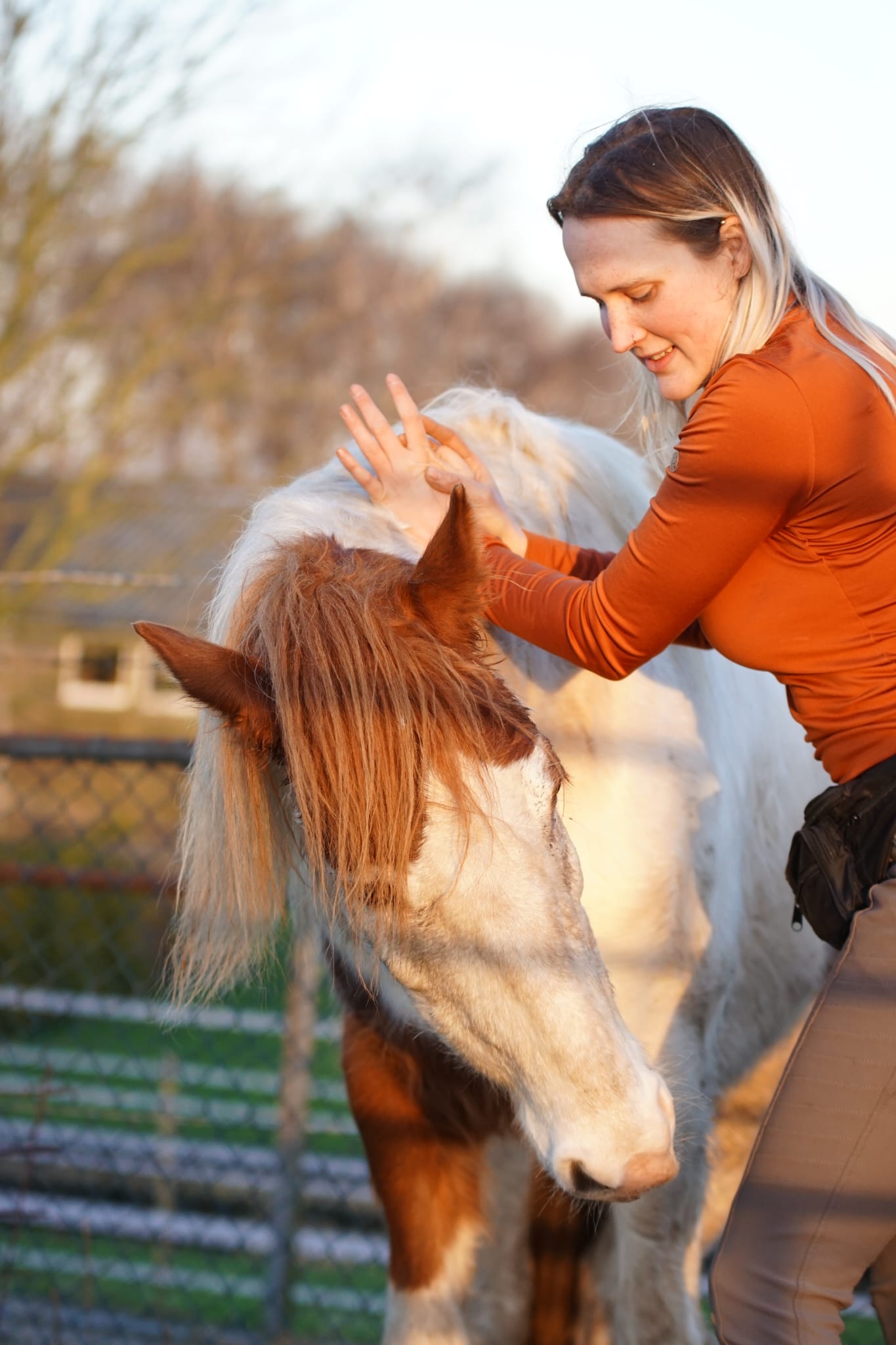 Esmée aan het werk bij een paard